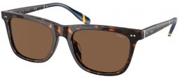 Gafas de Sol - POLO Ralph Lauren - PH4205U - 500373  SHINY DARK HAVANA // BROWN