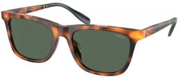 Gafas de Sol - POLO Ralph Lauren - PH4205U - 608971  SHINY HAVANA // DARK GREEN