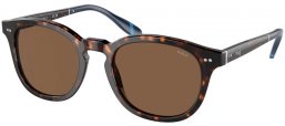 Gafas de Sol - POLO Ralph Lauren - PH4206 - 500373  SHINY DARK HAVANA // BROWN