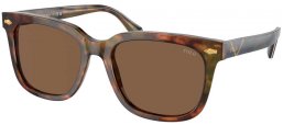 Gafas de Sol - POLO Ralph Lauren - PH4210 - 501773  SHINY HAVANA // BROWN