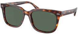 Gafas de Sol - POLO Ralph Lauren - PH4210 - 613771  SHINY HAVANA // GREEN BOTTLE