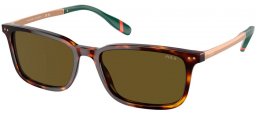 Gafas de Sol - POLO Ralph Lauren - PH4212 - 613773  SHINY TORTOISE // GREEN OLIVE