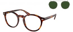 Gafas de Sol - POLO Ralph Lauren - PH4218 - 613771  SHINY TORTOISE BROWN // CLEAR + CLIP ON GREEN BOTTLE