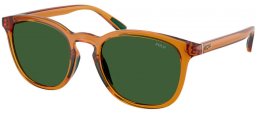 Gafas de Sol - POLO Ralph Lauren - PH4222U - 620971  SHINY TRANSPARENT BROWN HONEY // BOTTLE GREEN