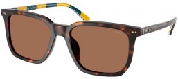 Gafas de Sol - POLO Ralph Lauren - PH4224U - 500373  SHINY DARK HAVANA // DARK BROWN