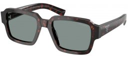 Gafas de Sol - Prada - SPR 02ZS - 17N20N  TORTOISE ROOT // BLUE