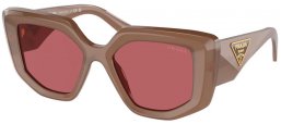 Gafas de Sol - Prada - SPR 14ZS - 11S08S  OPAL LODEN // DARK VIOLET