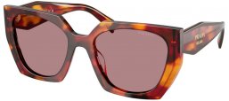 Gafas de Sol - Prada - SPR 15WS - 22A20I  TORTOISE POPPY // LIGHT PURPLE BROWN