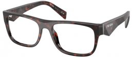 Monturas - Prada - VPR 22ZV - 17N1O1  TORTOISE ROOT