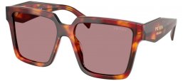 Gafas de Sol - Prada - SPR 24ZS - 22A20I  TORTOISE POPPY // BROWN LIGHT PURPLE