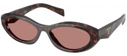 Gafas de Sol - Prada - SPR 26ZS - 17N60B  TORTOISE ROOT // LIGHT BROWN