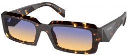 Gafas de Sol - Prada - SPR 27ZS - 16O50E  TORTOISE BLACK MALT // CLEAR FIFTY YELLOW DARK BLUE