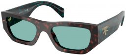 Gafas de Sol - Prada - SPR A01S - 18Z40K  TORTOISE ROOT // GREEN PETROLEUM