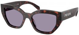 Gafas de Sol - Prada - SPR A09S - 17N03N  TORTOISE ROOT // GREY