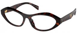 Monturas - Prada - VPR A21V - 17N1O1 ROOT TORTOISE