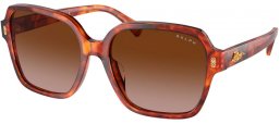 Gafas de Sol - RALPH Ralph Lauren - RA5304U - 601113  HAVANA ORANGE // BROWN GRADIENT