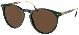 Gafas de Sol - Ralph Lauren - RL8181P - 614053  OPAL GREEN // BROWN