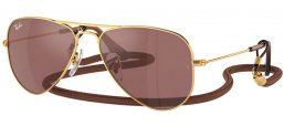 Gafas Junior - Ray-Ban® Junior Collection - RJ9506S - 223/6G ARISTA GOLD // BROWN MIRROR SILVER