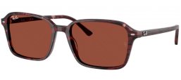 Ray-Ban® RB2231 RAIMOND