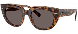 Gafas de Sol - Ray-Ban® - Ray-Ban® RB2286 DOREEN - 1292B1  HAVANA ON TRANSPARENT BROWN // DARK GREY