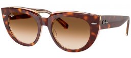 Gafas de Sol - Ray-Ban® - Ray-Ban® RB2286 DOREEN - 141451  LIGHT HAVANA ON TRANSPARENT MULTICOLOR // BROWN GRADIENT TRANSPARENT