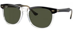 Gafas de Sol - Ray-Ban® - Ray-Ban® RB2398 EAGLEEYE - 129431  BLACK ON TRANSPARENT // GREEN