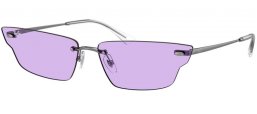 Gafas de Sol - Ray-Ban® - Ray-Ban® RB3731 ANH - 004/1A  GUNMETAL // VIOLET