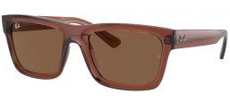 Gafas de Sol - Ray-Ban® - Ray-Ban® RB4396 WARREN - 667873  TRANSPARENT BROWN // DARK BROWN