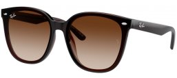 Ray-Ban® RB4423D