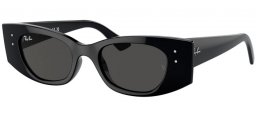 Gafas de Sol - Ray-Ban® - Ray-Ban® RB4427 KAT - 667787  BLACK // DARK GREY