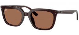 Gafas de Sol - Ray-Ban® - Ray-Ban® RB4439D - 623173  OPAL BROWN // DARK BROWN