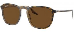 Gafas de Sol - Ray-Ban® - Ray-Ban® RB2203 - 139357 HAVANA ON TRANSPARENT // BROWN POLARIZED