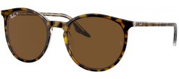 Gafas de Sol - Ray-Ban® - Ray-Ban® RB2204 - 139357 HAVANA ON TRANSPARENT // BROWN POLARIZED