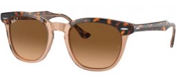 Gafas de Sol - Ray-Ban® - Ray-Ban® RB2298 HAWKEYE - 1292M2 HAVANA ON TRANSPARENT BROWN // BROWN GRADIENT POLARIZED