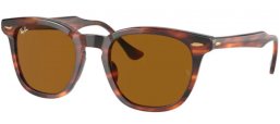 Gafas de Sol - Ray-Ban® - Ray-Ban® RB2298 HAWKEYE - 954/33 STRIPED HAVANA // BROWN