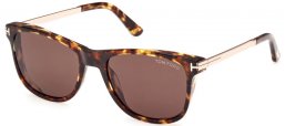 Gafas de Sol - Tom Ford - SINATRA FT1104 - 52E  DARK HAVANA // BROWN