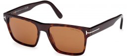 Gafas de Sol - Tom Ford - CALDER FT1205 - 52E  DARK HAVANA // BROWN