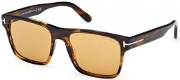 Gafas de Sol - Tom Ford - CALDER FT1205 - 56E  DARK HAVANA // LIGHT BROWN