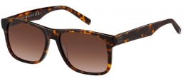 Gafas de Sol - Tommy Hilfiger - TH 2073/S - 086 (HA) HAVANA // BROWN GRADIENT