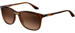 Gafas de Sol - Carrera - CARRERA 6013/S - DWJ (HA) HAVANA // BROWN GRADIENT