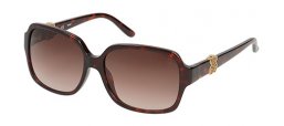 Lunettes de soleil - Tous - STO788 - 0706 HAVANA // BROWN GRADIENT