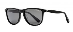 Gafas de Sol - Polaroid Premium - PLP 0102 - 807  (1T) BLACK // GREY ANTIRREFLECTION POLARIZED