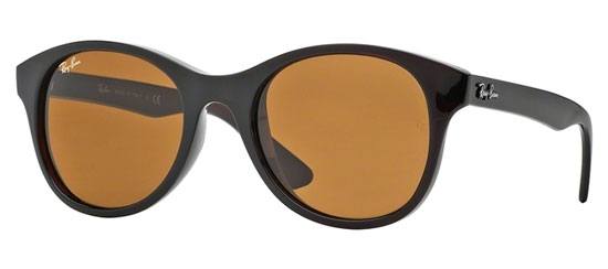 Gafas de Sol RayBan RB4203 714 SHINY BROWN // BROWN